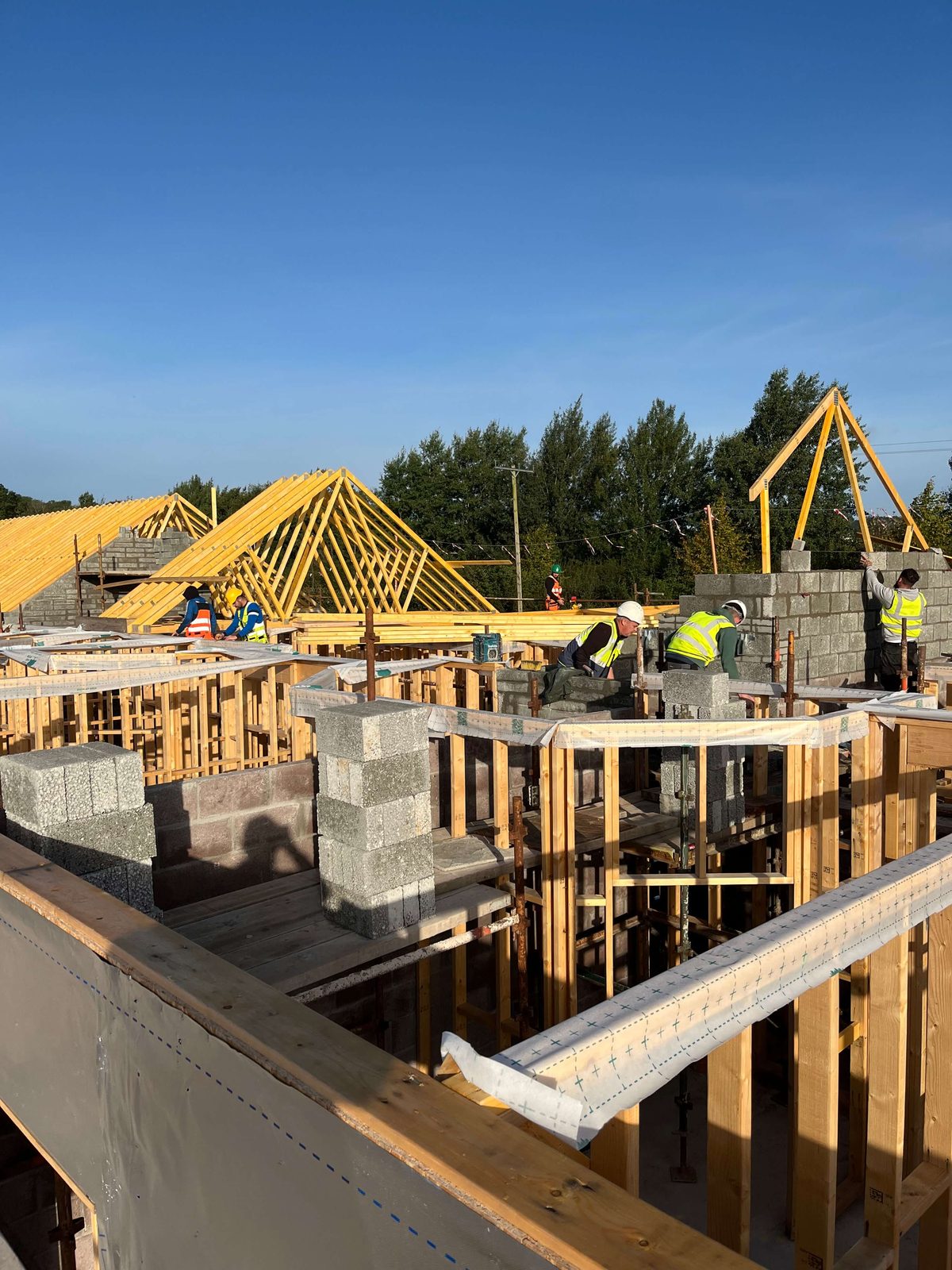 HBC Timberframe crew erecting a commercial timber frame structure